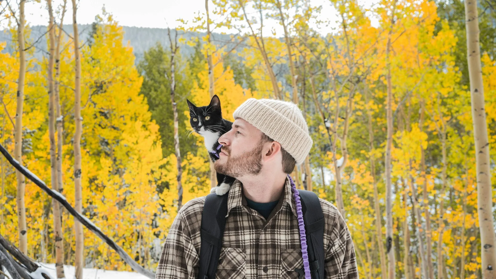 Скутеры и автомобили для аренды на Бали